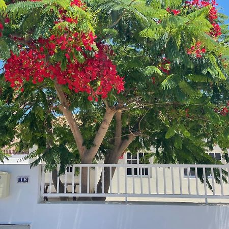 Casa Enamorado Tarajalejo Eksteriør bilde
